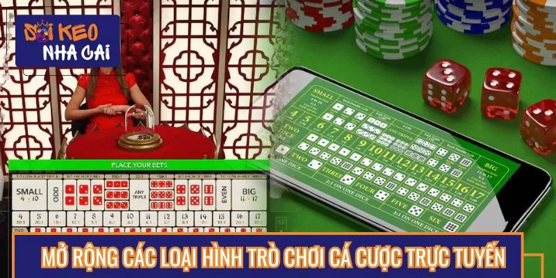 Tác giả đã phát triển và mở rộng các loại hình giải trí trực tuyến