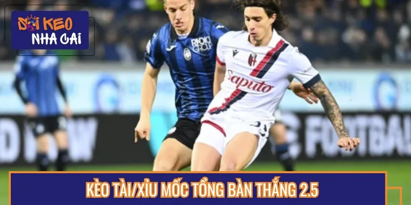 Cửa Tài sáng giá khi tổng bàn thắng được chuyên gia ấn định ở mốc 2.5