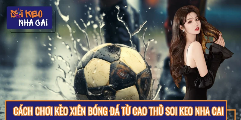 Học Cách Chơi Kèo Xiên Bóng Đá Từ Cao Thủ Soi Keo Nha Cai