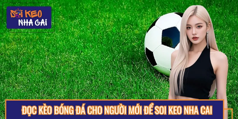 Đọc Kèo Bóng Đá Cho Người Mới Để Soi Keo Nha Cai Hiệu Quả