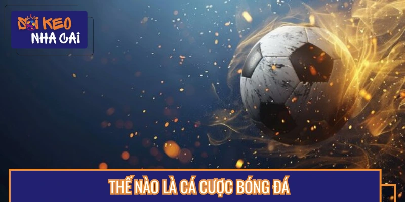 Chơi độ bóng đá là gì?