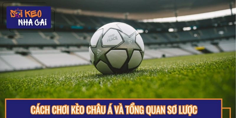 Khái quát về hình thức tỷ lệ châu Á