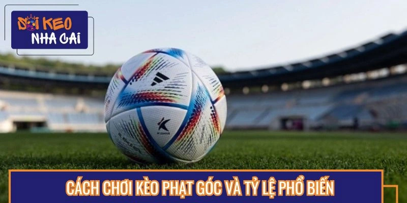 Tỷ lệ phạt góc phổ biến hiện nay