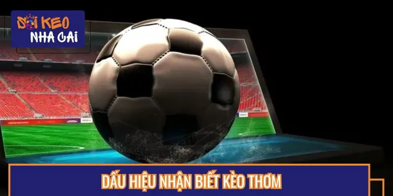 Nắm rõ các dấu hiệu nhận biết kèo thơm