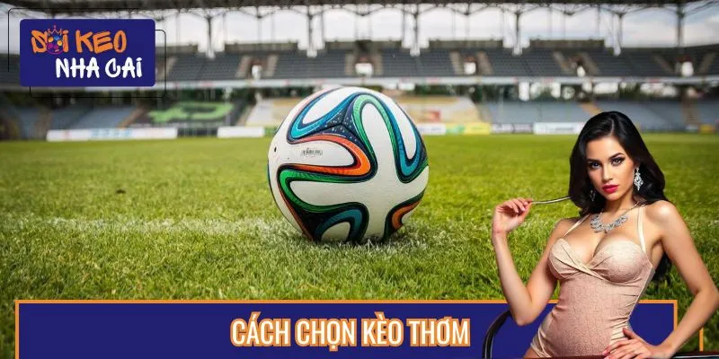 Cách Chọn Kèo Thơm Cho Người Mới – Học Nhanh, Ăn Dày, Tránh Bẫy!