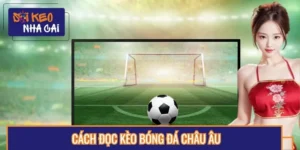 Cách Đọc Kèo Bóng Đá Châu Âu Đem Lại Chiến Thắng Lớn