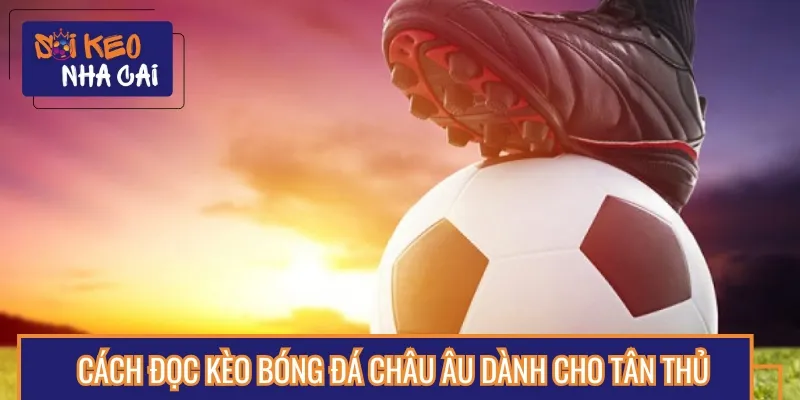 Cách đọc kèo bóng đá châu Âu đơn giản, dễ hiểu với người mới