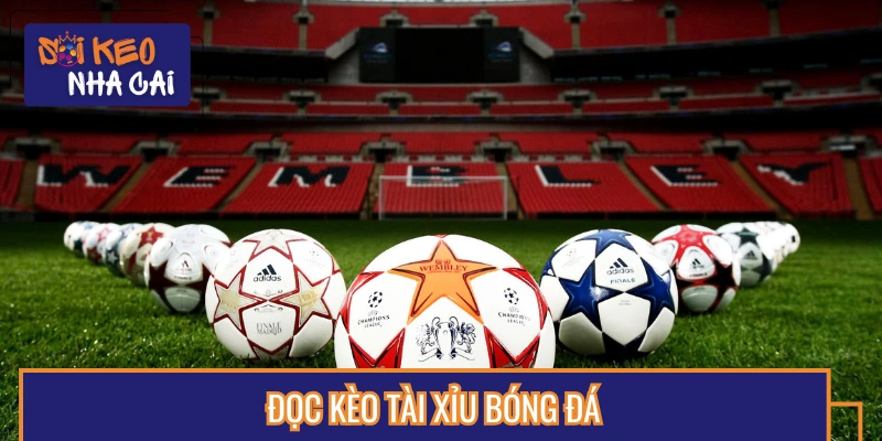 Cách đọc kèo bóng đá cho người mới về cược tài xỉu