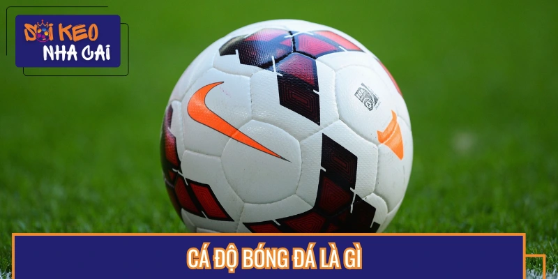 Review nhanh về hình thức cá độ bóng đá