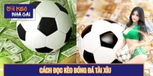 Cách đọc kèo bóng đá Tài Xỉu dành cho anh em newbie