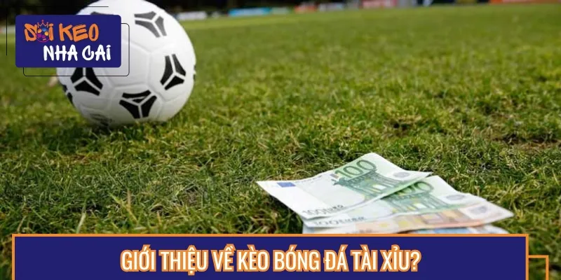 Kèo cược Tài Xỉu là thông tin quan trọng anh em cần nắm rõ