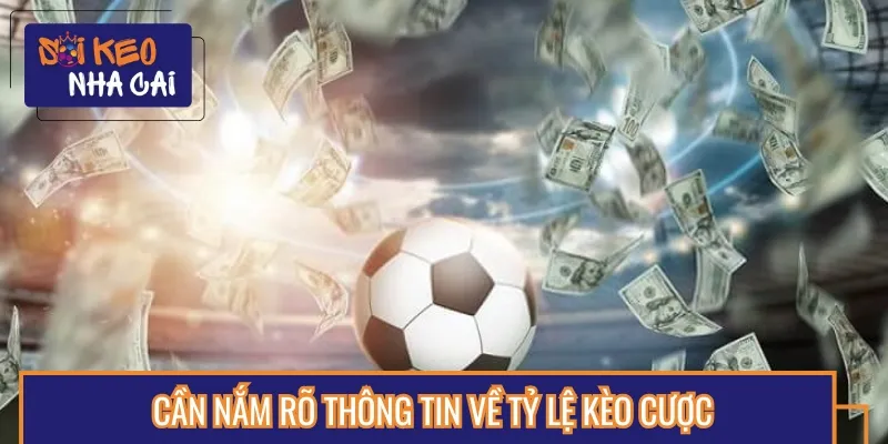 Cách nhận biết kèo dụ hay là phải nắm rõ thông tin về các tỷ lệ cược