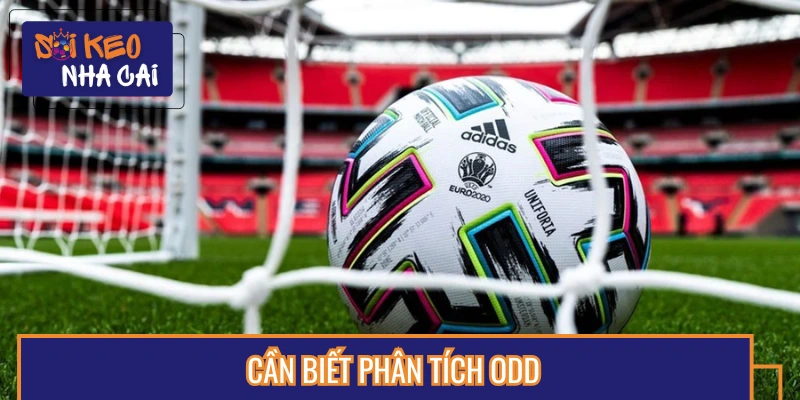 Phân tích odd để đưa ra lựa chọn thông minh