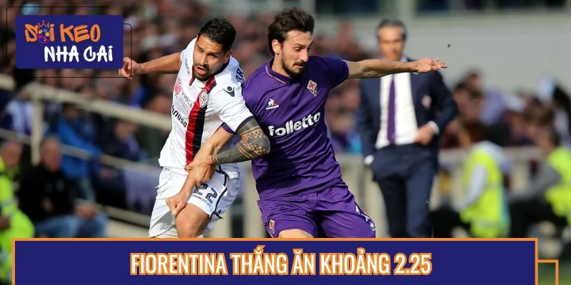 Tỷ lệ chiến thắng Fiorentina hấp dẫn, đáng để người chơi cân nhắc