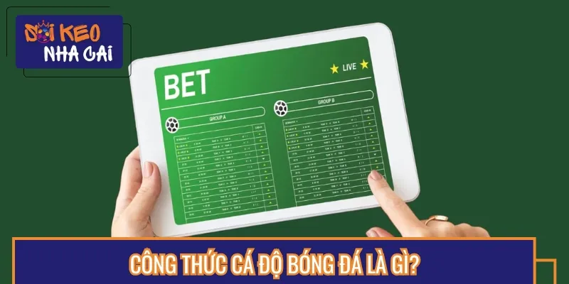 Các công thức cá độ bóng đá là bí quyết đặt cược chuẩn dành cho người chơi