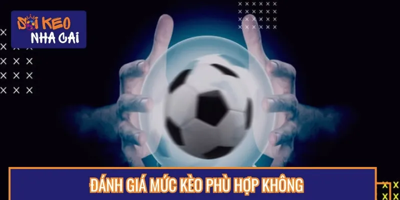 Phải có đánh giá mức kèo thích hợp để đưa ra quyết định chuẩn
