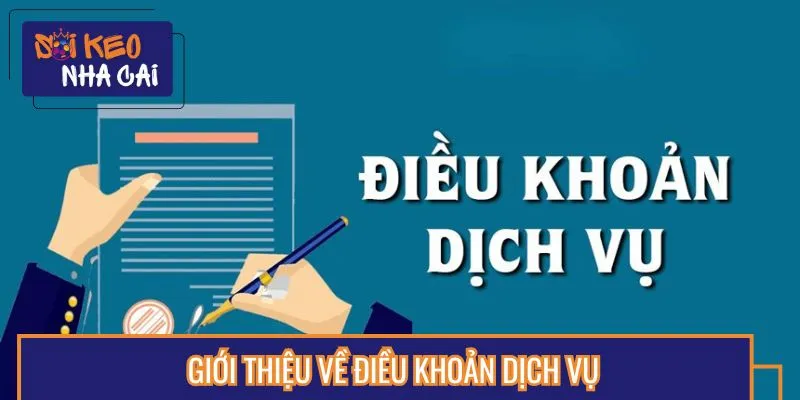 Đôi nét về điều khoản dịch vụ