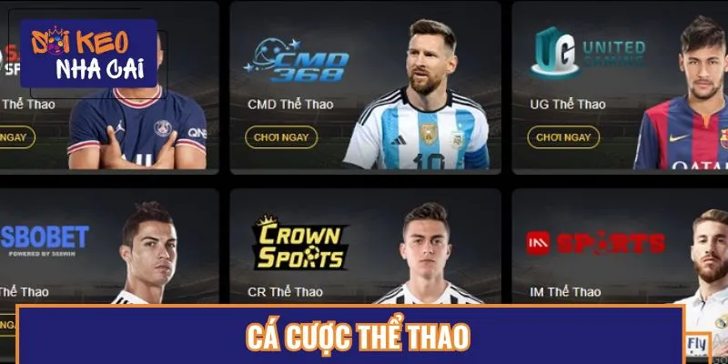 Sảnh thể thao cực Hot