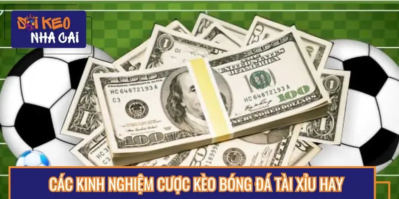 Học ngay một số kinh nghiệm cược bóng đá Tài Xỉu
