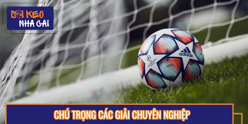 Nên lựa chọn trải nghiệm tại các giải lớn