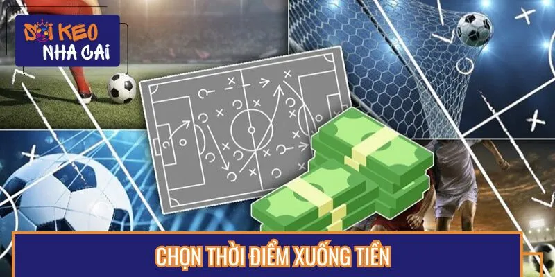 Người chơi chọn thời điểm đặt cược hợp lý